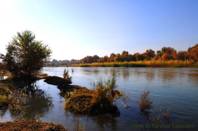 منطقه حفاظت شده کرخه کرخه منطقه حفاظت شده کرخه