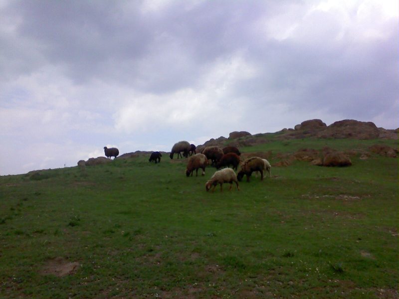 کمر سیاه روستای سیاه کمر