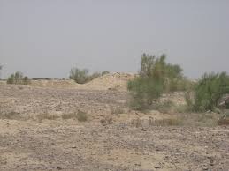 محوطه تاریخی ابوذر ابوذر محوطه تاریخی ابوذر