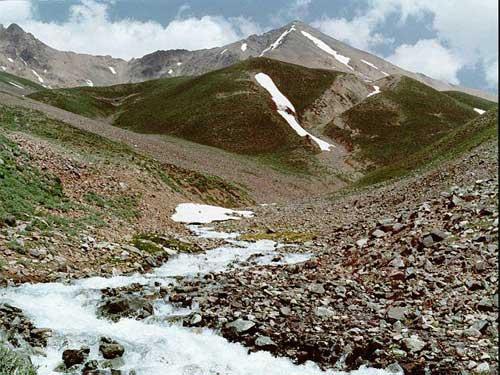 سیس سیس2 سیس