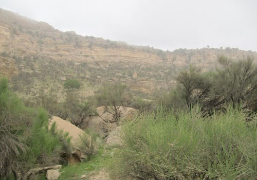 شکارگاه کوه سیاه شکارگاه-کوه-سیاه3 شکارگاه کوه سیاه