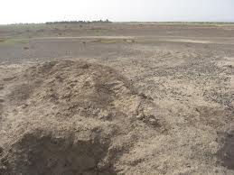 محوطه باستانی تپه مسی مسی محوطه باستانی تپه مسی