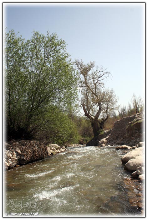 کلم 1 روستای کلم 