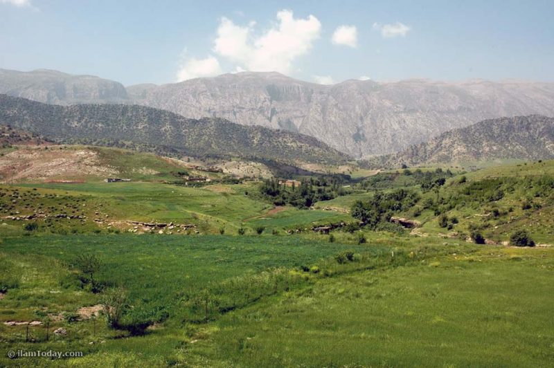 کلم 2 روستای کلم 