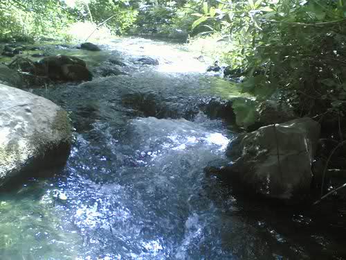 کلم 3 روستای کلم 