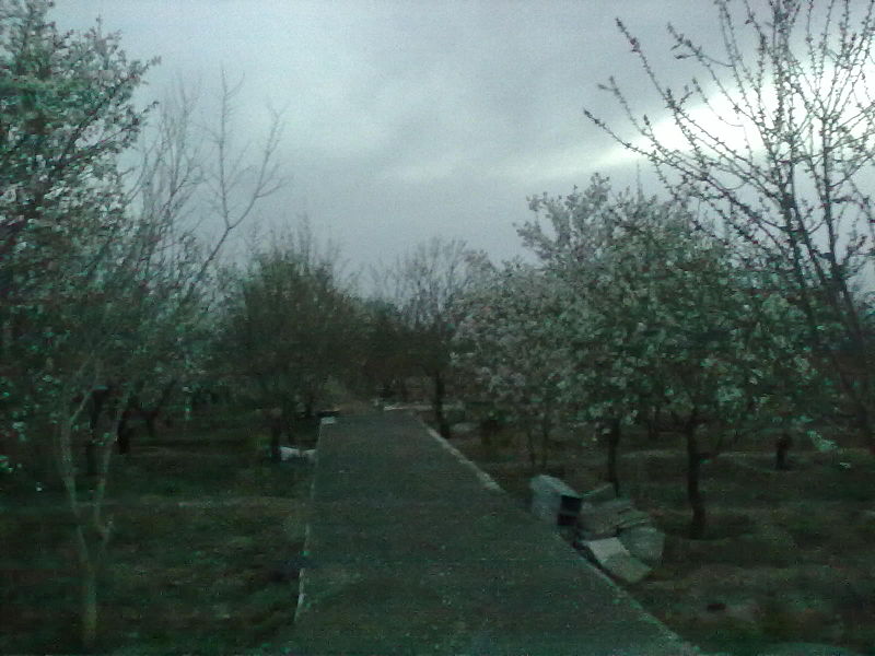 تفرجگاه یال 