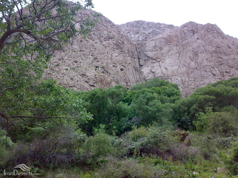بار8 نیشابور