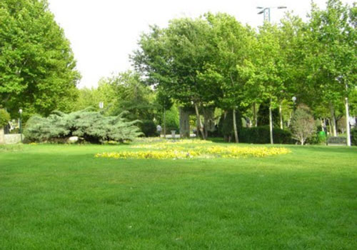 بوستان-رازی14 پارک رازی