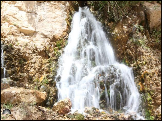 تیگران 2 تیگران