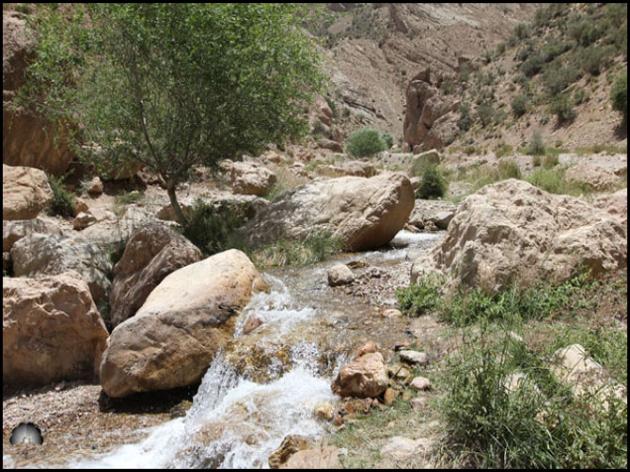 تیگران 3 تیگران
