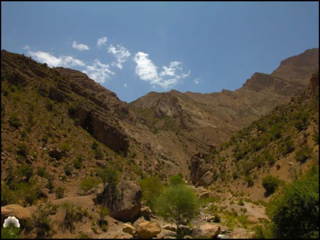 تیگران تیگران
