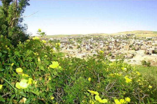 دیواندره 
