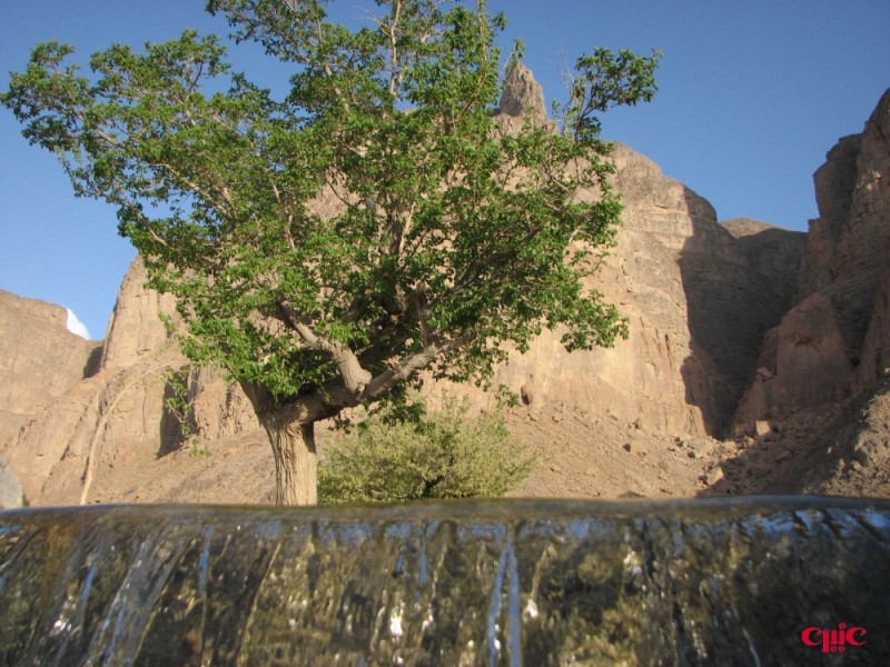 تامهر چشمه تامهر 