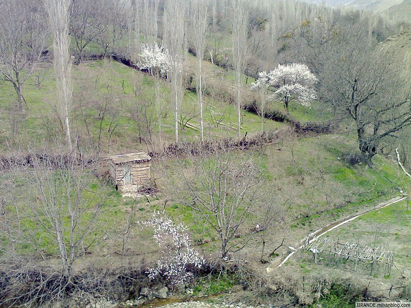 جیرنده 2 جیرنده 