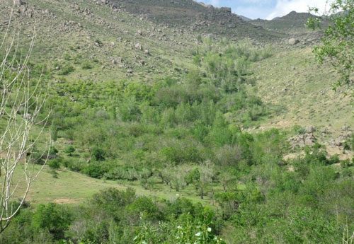 تویسرکان دره سرکان2 تویسرکان