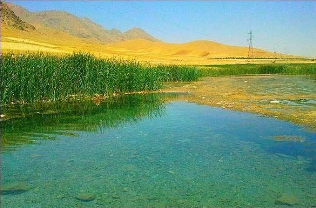 شیرین سو -شیرین-سو-کجاست-1379164075 شیرین سو