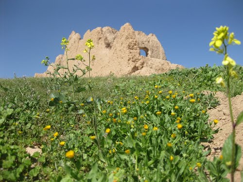 شهر نوبندگان نوبندگان 1 شهر نوبندگان