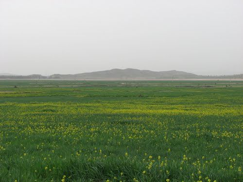 نوجین 4 شهر نوجین