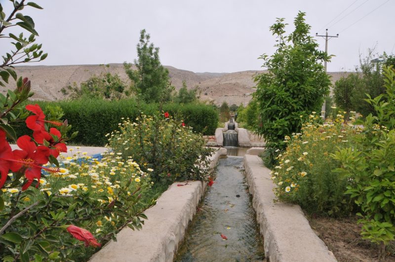 نیریز 1 شهر نیریز 