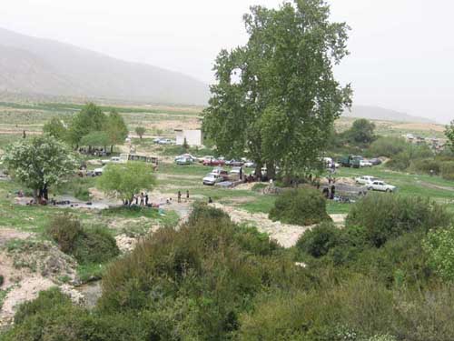 کوار1 شهر کوار