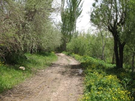 روستای آغچه 