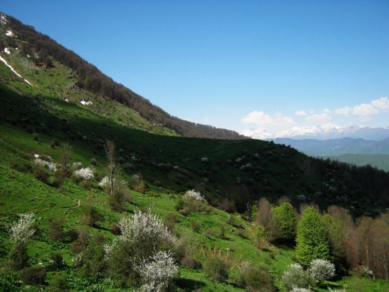 ارفه کوه ارفه کوه
