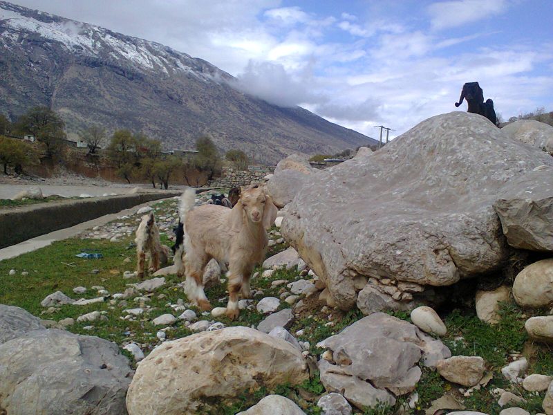 گراب سفلی شهر گراب سفلی 