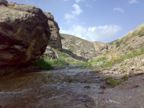 53259265 شهر سرو