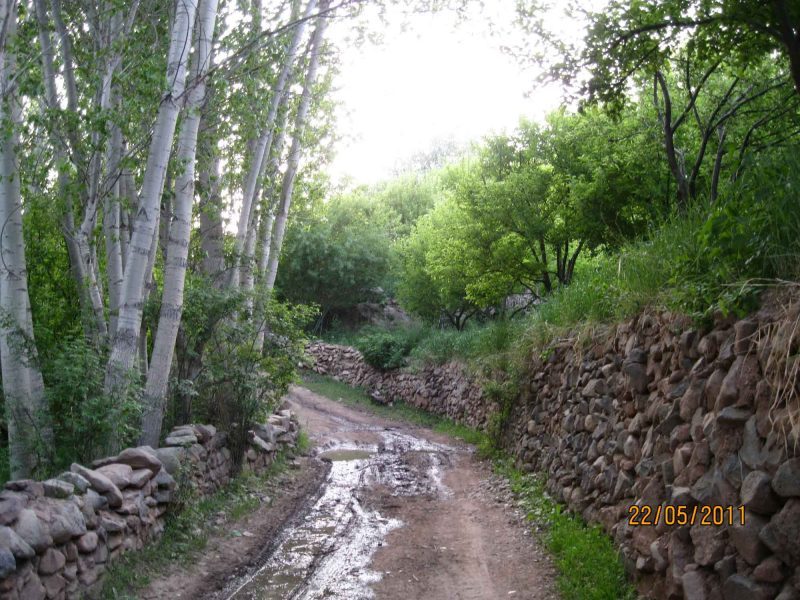 باغات زنوز 