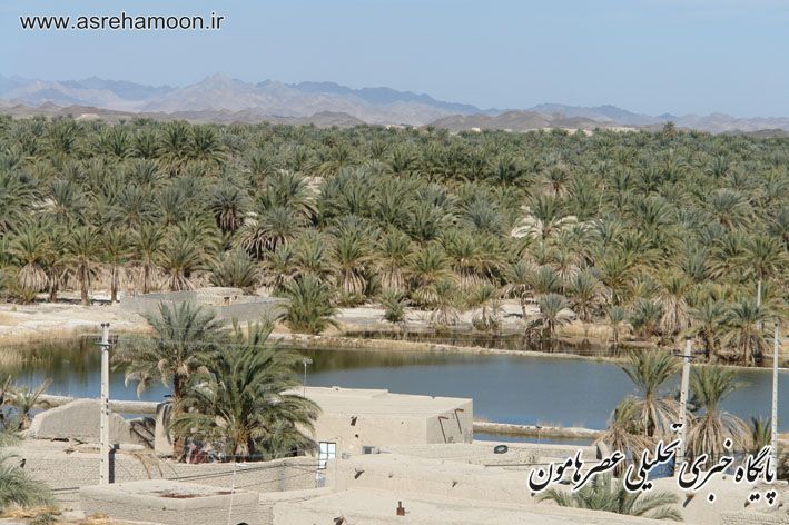 IF شهر جالق 