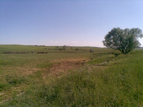 زرین آباد زرین آباد زرین آباد