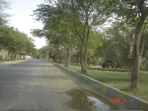هویزه 2 شهر هویزه 