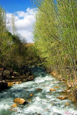 شهر پردنجان 