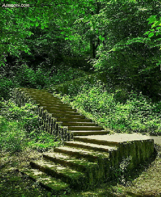 شهر چمستان چمستان 4 شهر چمستان