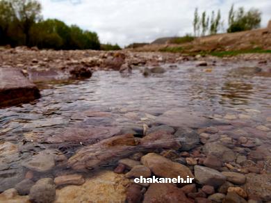شهر چکنه چکنه شهر چکنه