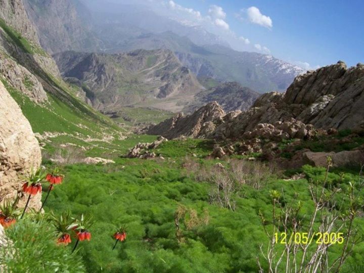 دالاهو 1 رشته کوه دالاهو