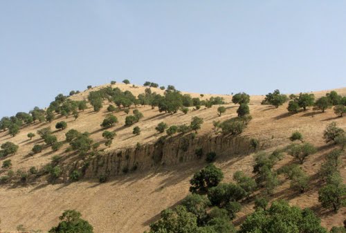 رباط شهر رباط ماهیدشت 