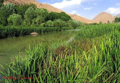 شهر سرمست سرمست شهر سرمست