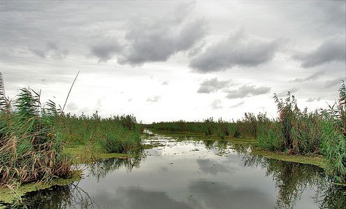 سیادرویشیان رودخانه شاخزر