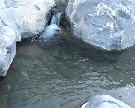 چشمه آبگرم شیرآباد شیر آباد چشمه آبگرم شیرآباد
