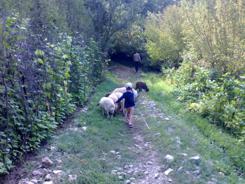 روستای هیر 17 روستای هیر