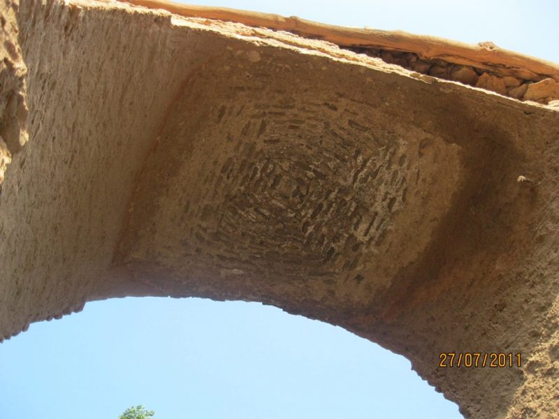 قزل کرپی زنوز