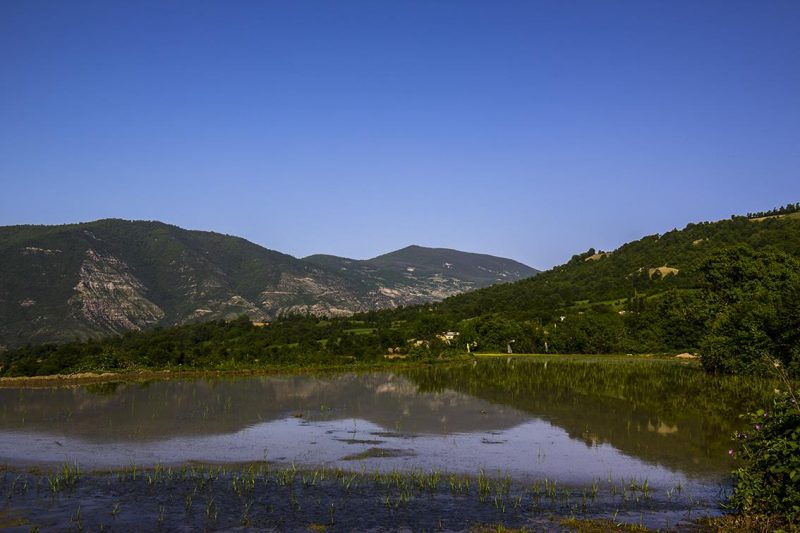 روستای وطن 1436 روستای وطن