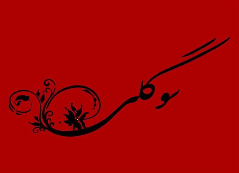  رستوران سوگلی ساری