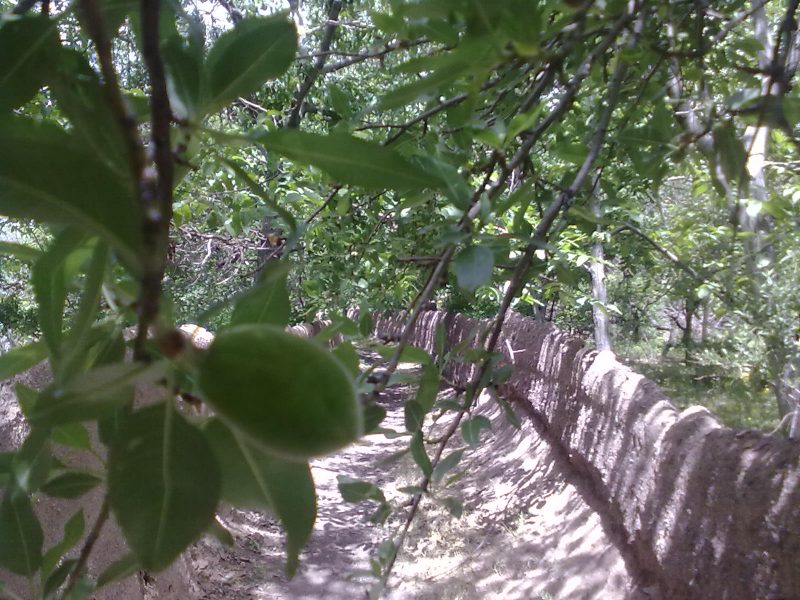 137 روستای علون آباد