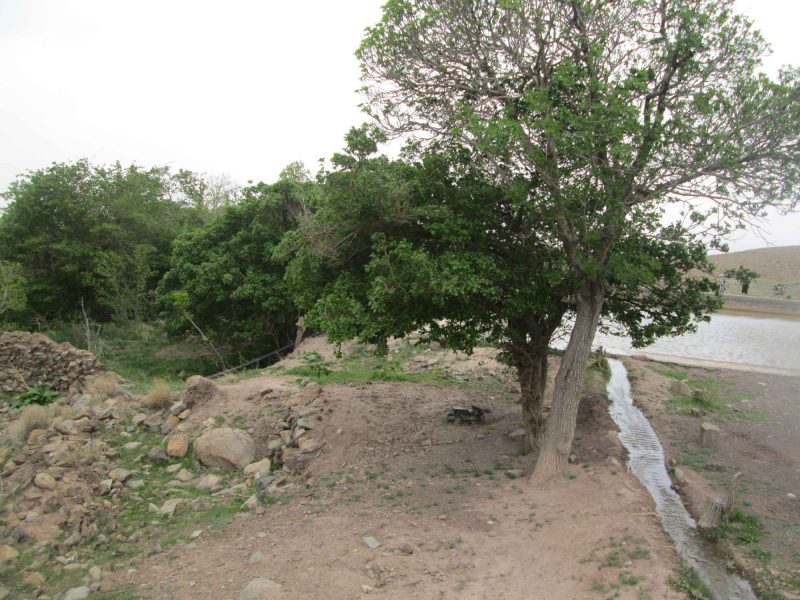 روستای ویدوجا 3225 روستای ویدوجا