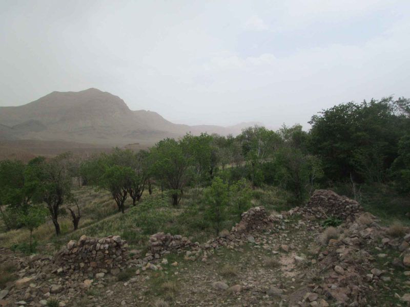 روستای ویدوجا 3228 روستای ویدوجا