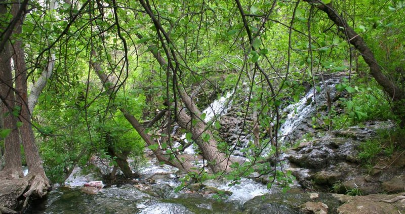 پارك جنگلی چهلمیر پارك جنگلی چهلمیر