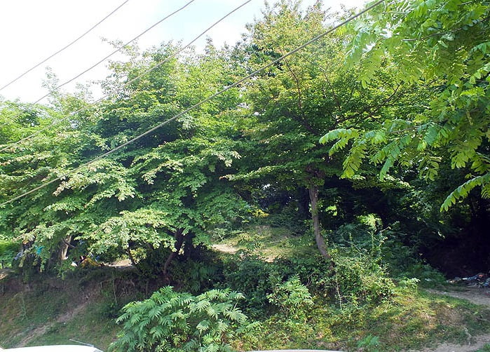 روستای شیاده روستای شیاده روستای شیاده