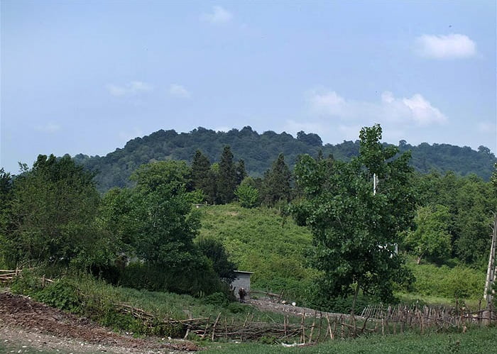 روستای شیاده روستای شیاده روستای شیاده